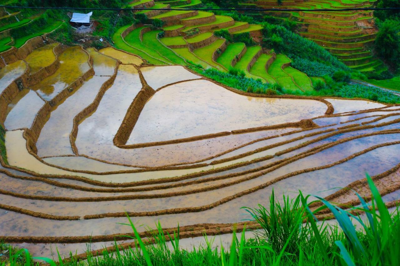 Do Gu Homestay Mu Cang Chai Exterior photo